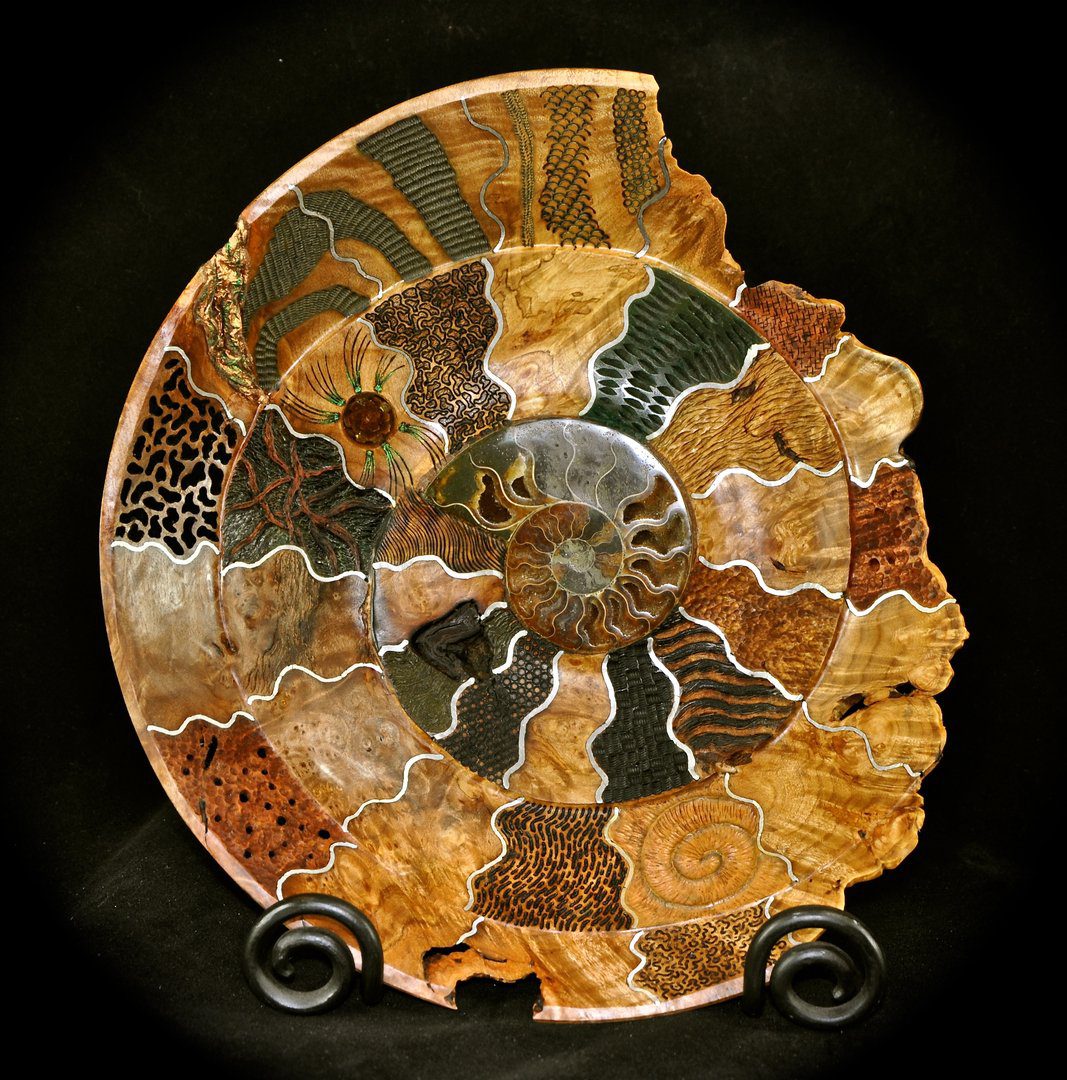 A large ammonite fossil with various colors of fossils.
